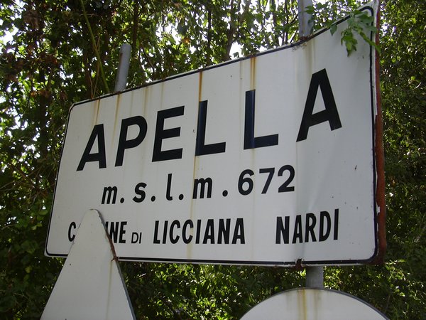 apella (48).JPG