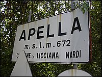 apella (48).JPG