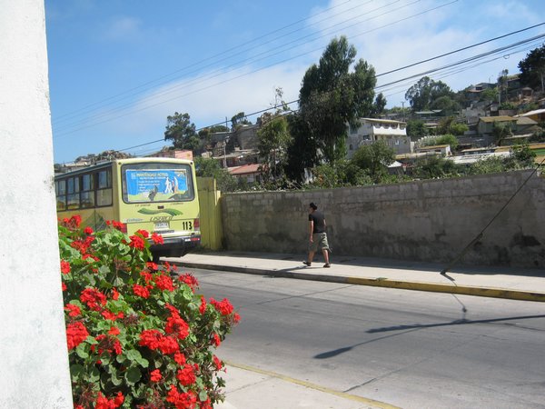 cile 1 gennaio coquimbo 038.jpg