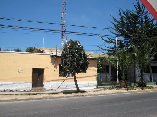 cile 1 gennaio coquimbo 118.jpg