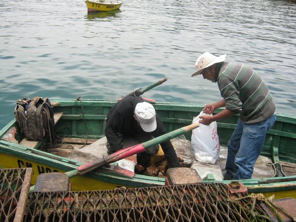 porto di huasco (120).JPG