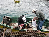 porto di huasco (120).JPG