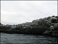 porto di huasco (50).JPG