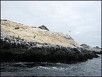 porto di huasco (53).JPG