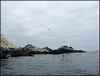 porto di huasco (54).JPG