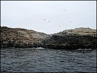 porto di huasco (67).JPG