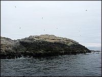 porto di huasco (68).JPG