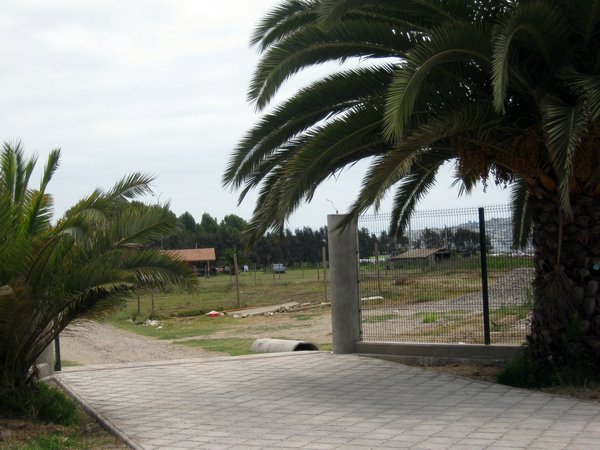 cile 2 gennaio la serena e pinuela 070.jpg