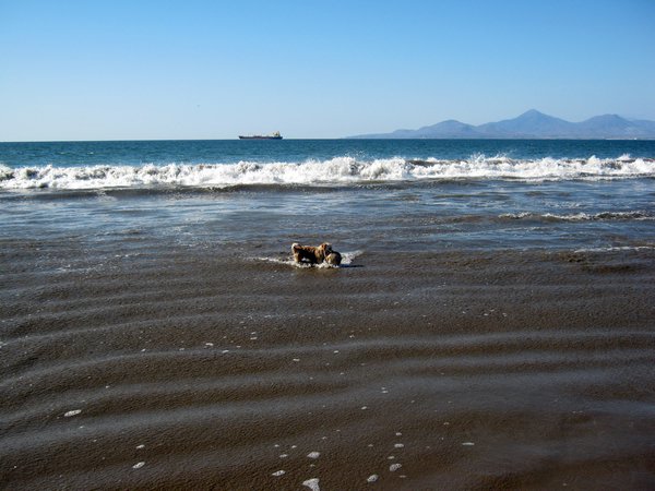 cile 2 gennaio la serena e pinuela 089.jpg