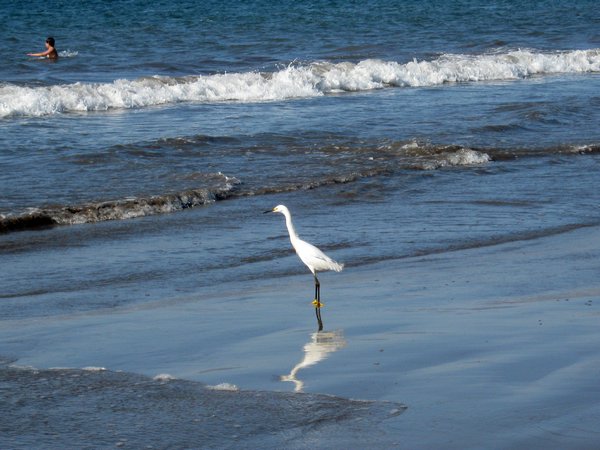 cile 2 gennaio la serena e pinuela 098.jpg