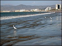 cile 2 gennaio la serena e pinuela 097.jpg