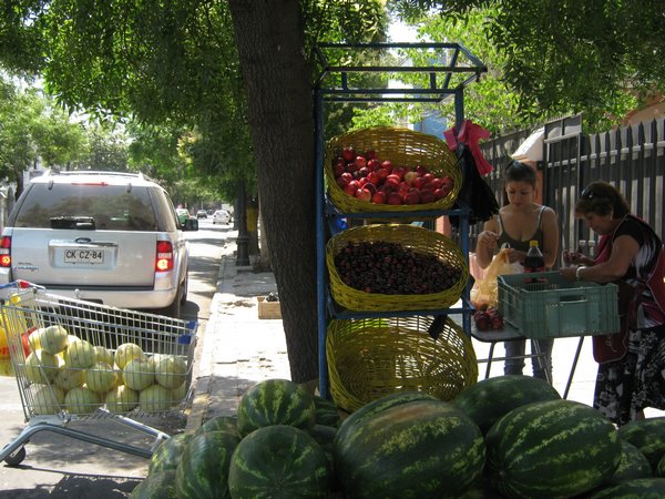 cile 6 gennaio santiago 035.jpg