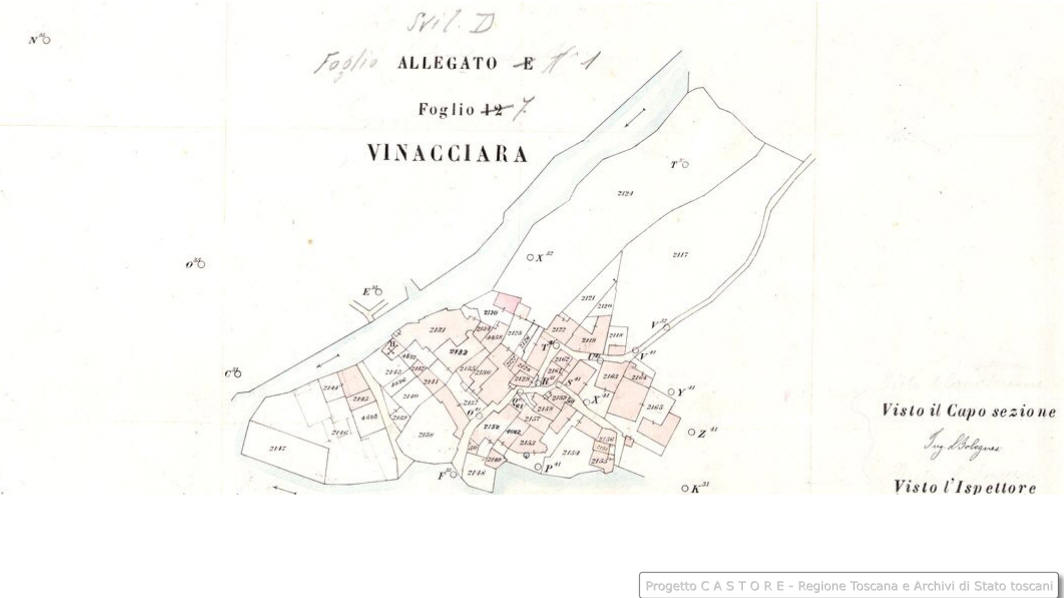 Vinacciara