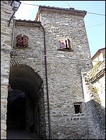 taponecco (7).JPG