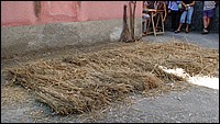 regnano 22 luglio 2007 (18).JPG