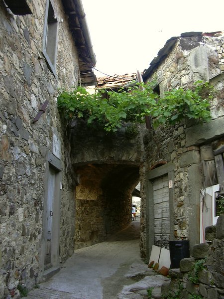 antognano 080.jpg