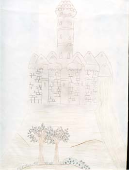 Disegno 1