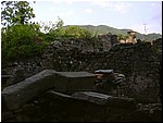 bergiola 044.jpg