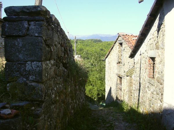 castagnola di minucciano (2).jpg