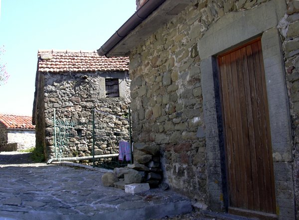 castagnola di minucciano 007.jpg