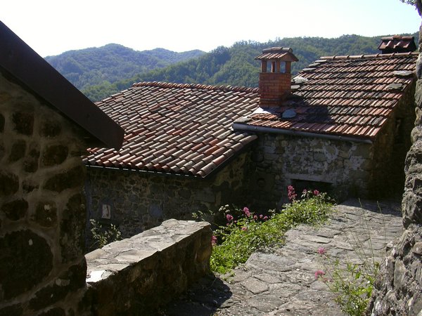 castagnola di minucciano 023.jpg