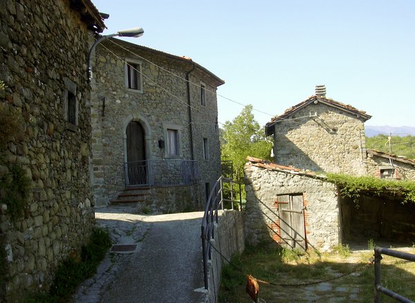 castagnola di minucciano 029.jpg