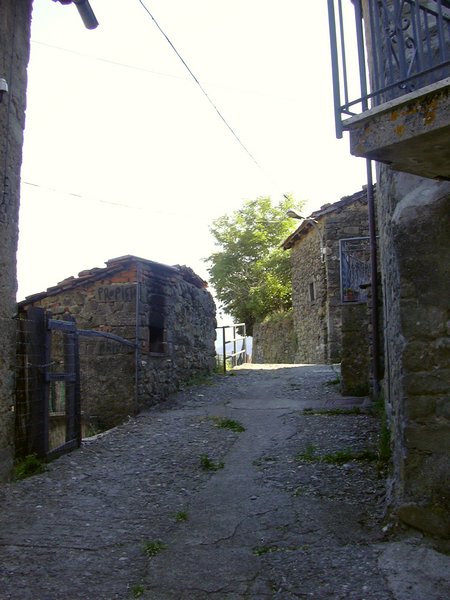 castagnola di minucciano 038.jpg