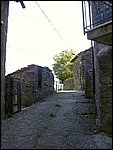 castagnola di minucciano 038.jpg