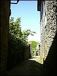 castagnola di minucciano 047.jpg