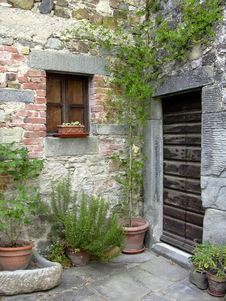 castagnola di casola (10).jpg