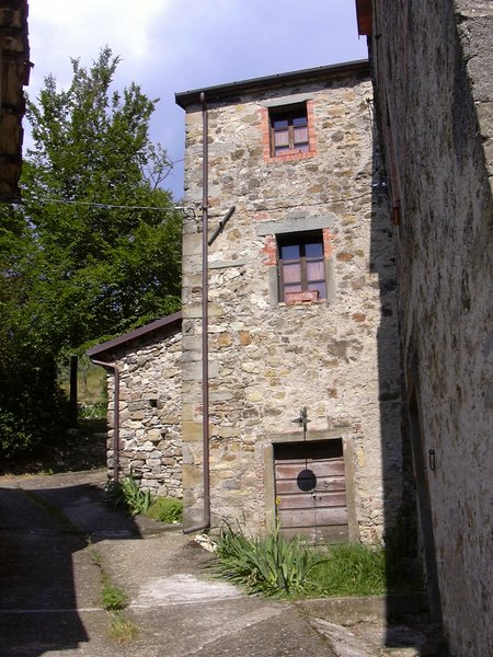 castagnola di casola (6).jpg