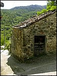 castagnola di casola (21).jpg