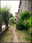 castiglione garf. (122).JPG