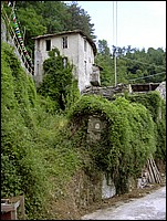 Antiche maest (226).jpg