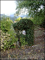 Antiche maest (60).JPG