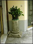 pievecentrostorico 035.jpg