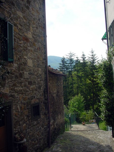 poggio 005.jpg