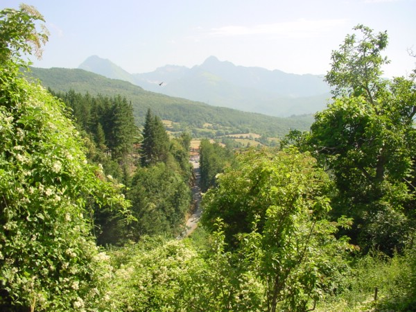 regnano_2008 039.jpg