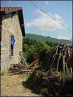 regnano_2008 002.jpg