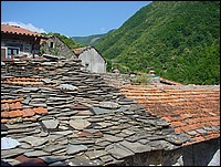 regnano_2008 035.jpg