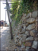 regnano_2008 037.jpg