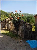 regnano_2008 069.jpg