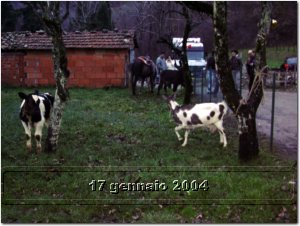 renzano 030.jpg