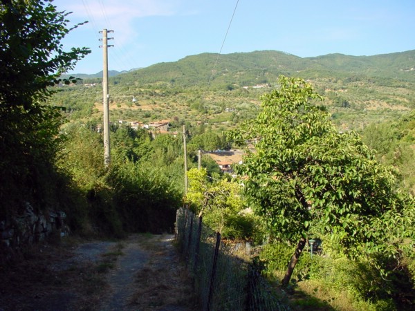 bonosolo_argigliano 031.jpg