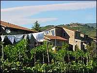 bonosolo_argigliano 041.jpg