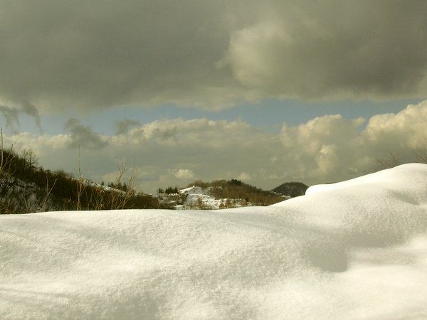 neve2005 ugliano.jpg