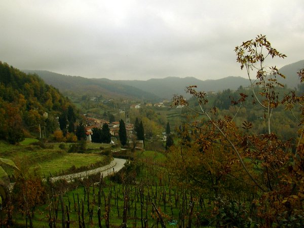 sermezzanaautunno 2004.jpg