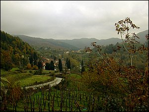 sermezzanaautunno 2004.jpg